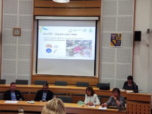 2024_04_15_Setkání platformy realizátorů projekt MAP